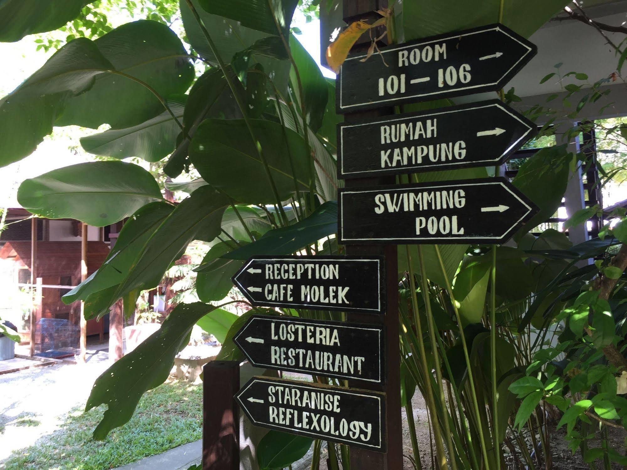 Villa Molek Langkawi Dış mekan fotoğraf